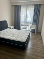Balestier Road (D12), Shop House #593643971